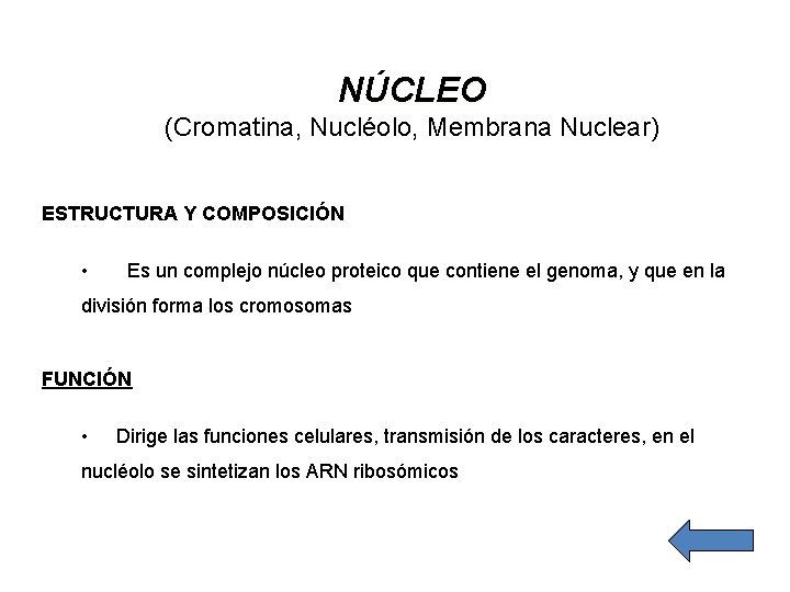 NÚCLEO (Cromatina, Nucléolo, Membrana Nuclear) ESTRUCTURA Y COMPOSICIÓN • Es un complejo núcleo proteico