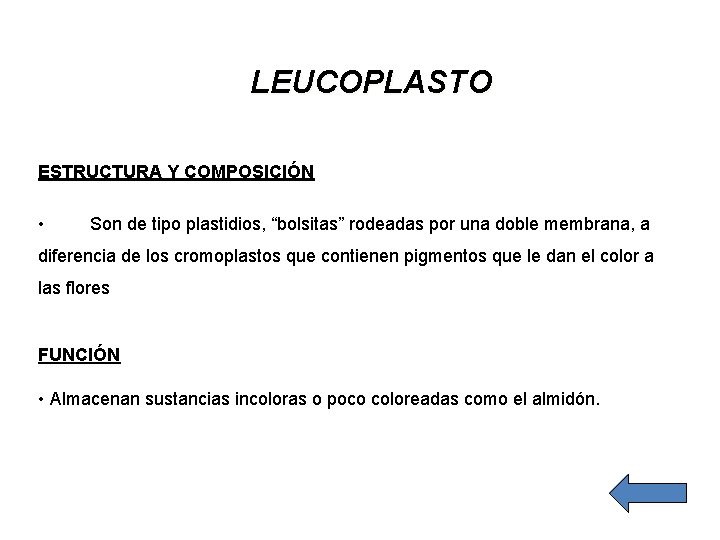 LEUCOPLASTO ESTRUCTURA Y COMPOSICIÓN • Son de tipo plastidios, “bolsitas” rodeadas por una doble