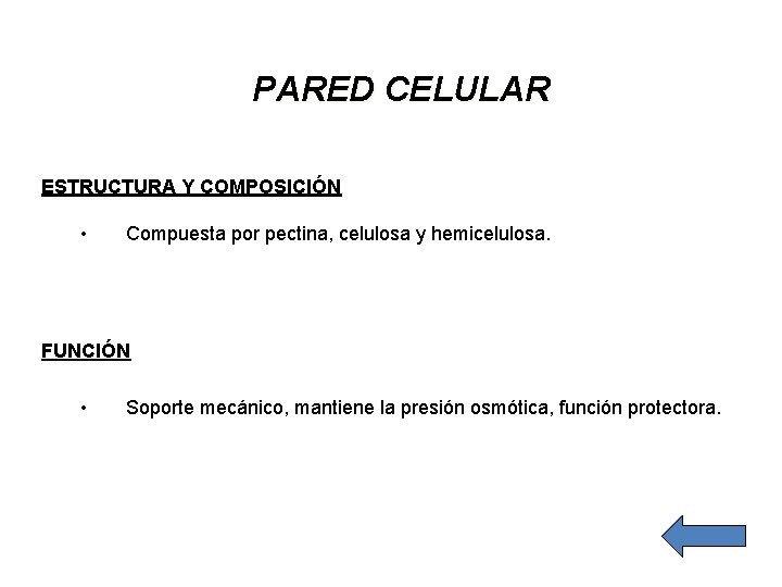 PARED CELULAR ESTRUCTURA Y COMPOSICIÓN • Compuesta por pectina, celulosa y hemicelulosa. FUNCIÓN •