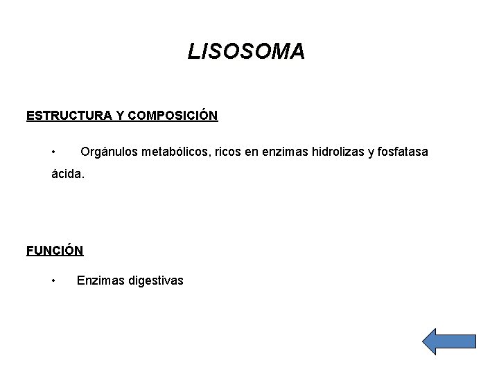 LISOSOMA ESTRUCTURA Y COMPOSICIÓN • Orgánulos metabólicos, ricos en enzimas hidrolizas y fosfatasa ácida.