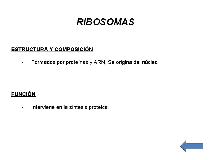RIBOSOMAS ESTRUCTURA Y COMPOSICIÓN • Formados por proteínas y ARN, Se origina del núcleo