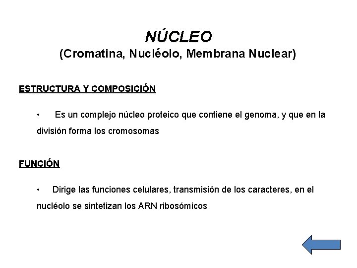 NÚCLEO (Cromatina, Nucléolo, Membrana Nuclear) ESTRUCTURA Y COMPOSICIÓN • Es un complejo núcleo proteico