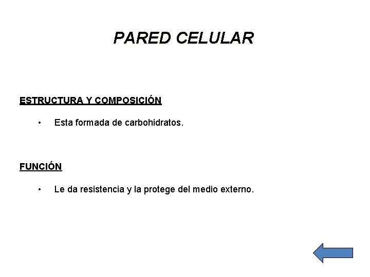 PARED CELULAR ESTRUCTURA Y COMPOSICIÓN • Esta formada de carbohidratos. FUNCIÓN • Le da