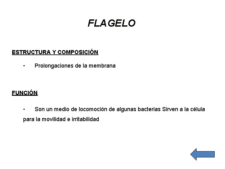 FLAGELO ESTRUCTURA Y COMPOSICIÓN • Prolongaciones de la membrana FUNCIÓN • Son un medio