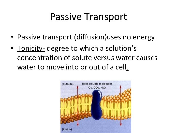 Passive Transport • Passive transport (diffusion)uses no energy. • Tonicity- degree to which a