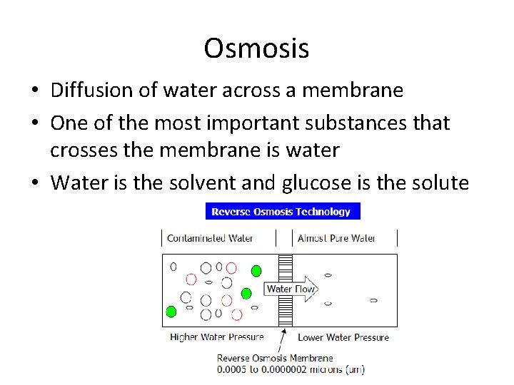 Osmosis • Diffusion of water across a membrane • One of the most important