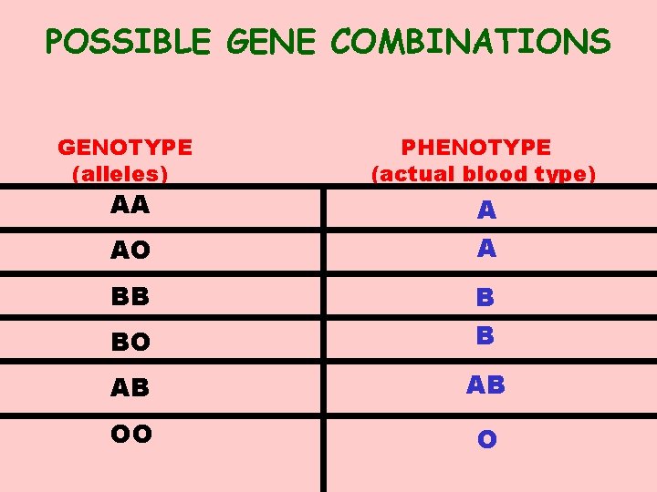 POSSIBLE GENE COMBINATIONS GENOTYPE (alleles) PHENOTYPE (actual blood type) AO A A AA BB