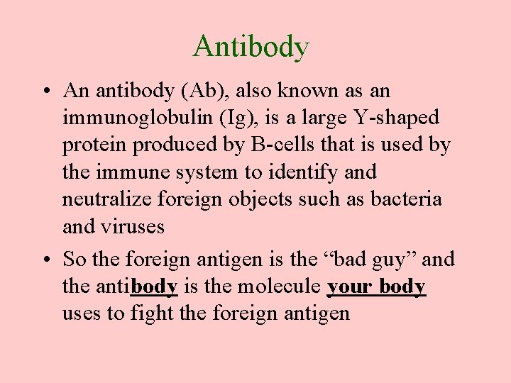 Antibody • An antibody (Ab), also known as an immunoglobulin (Ig), is a large