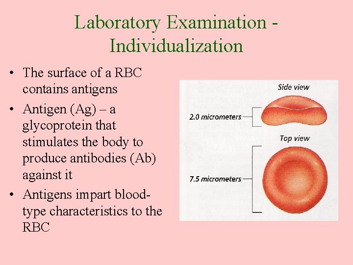 Laboratory Examination Individualization • The surface of a RBC contains antigens • Antigen (Ag)