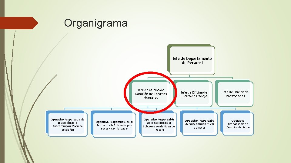 Nombre del tema Proyecto Final de Capital Humano