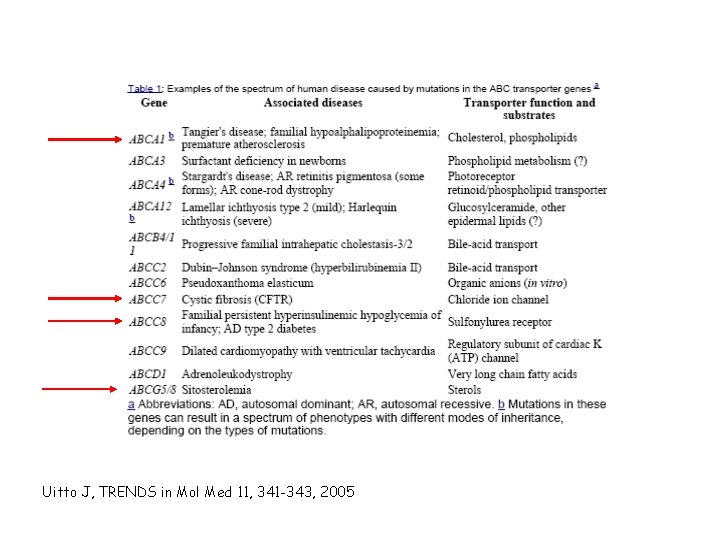 Uitto J, TRENDS in Mol Med 11, 341 -343, 2005 