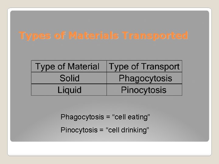 Types of Materials Transported Phagocytosis = “cell eating” Pinocytosis = “cell drinking” 