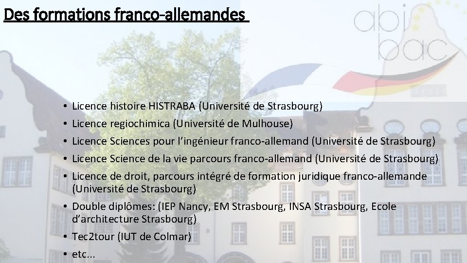 Des formations franco-allemandes Licence histoire HISTRABA (Université de Strasbourg) Licence regiochimica (Université de Mulhouse)