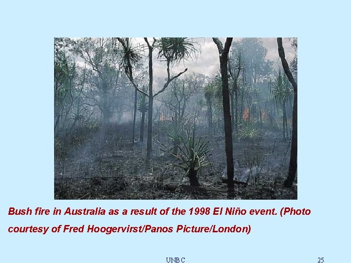 Bush fire in Australia as a result of the 1998 El Niño event. (Photo