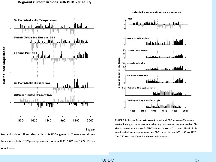 UNBC 59 