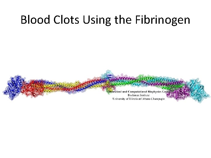 Blood Clots Using the Fibrinogen 