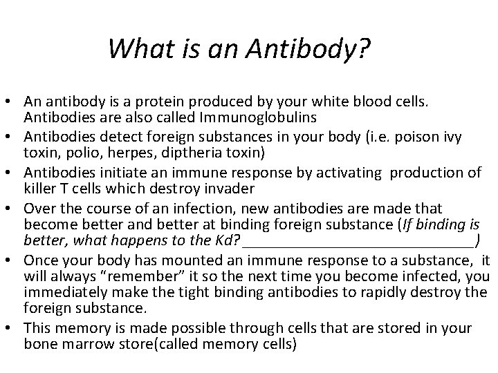 What is an Antibody? • An antibody is a protein produced by your white