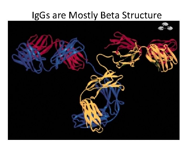 Ig. Gs are Mostly Beta Structure 