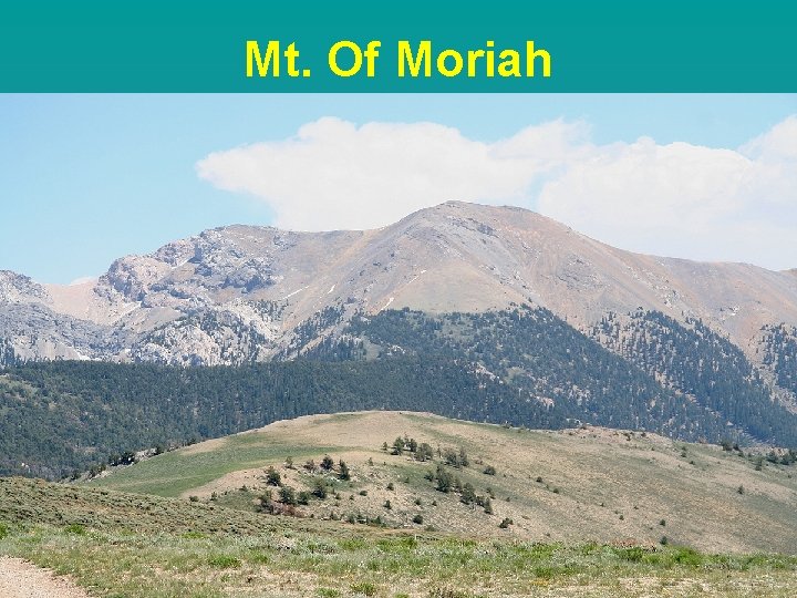 Mt. Of Moriah 