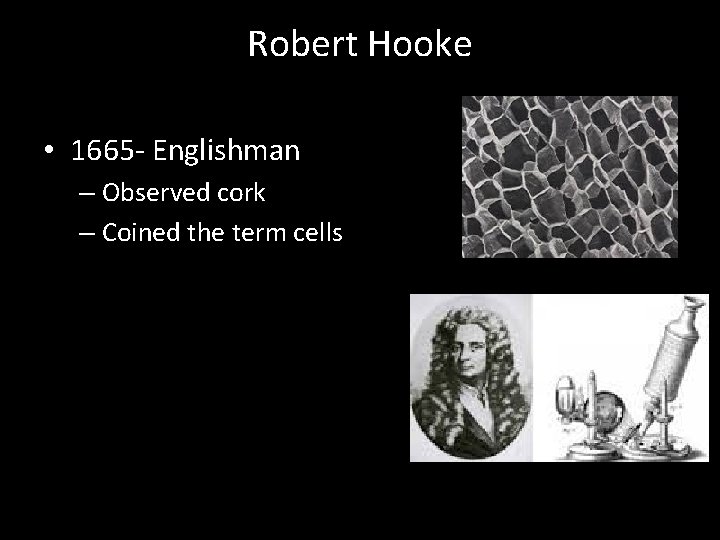 Robert Hooke • 1665 - Englishman – Observed cork – Coined the term cells