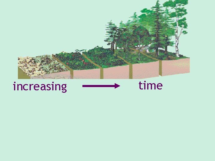 increasing time increasing time