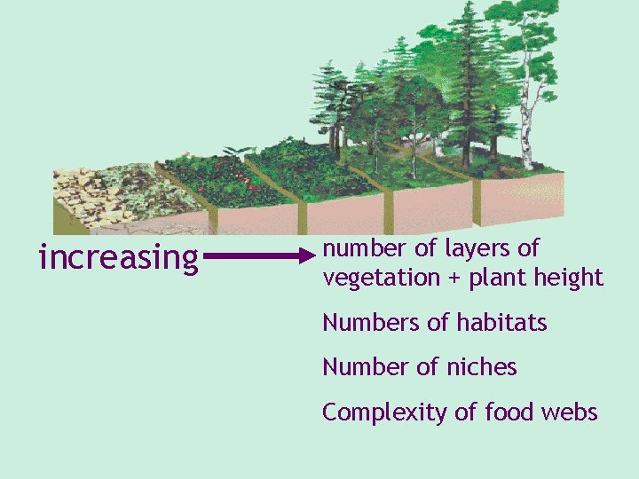 increasing number of layers of vegetation + plant height Numbers of habitats Number of increasing number of layers of vegetation + plant height Numbers of habitats Number of