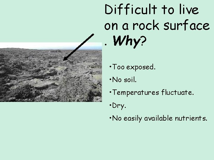 Difficult to live on a rock surface. Why? • Too exposed. • No soil. Difficult to live on a rock surface. Why? • Too exposed. • No soil.