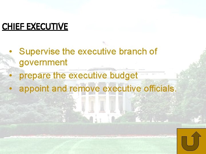 CHIEF EXECUTIVE • Supervise the executive branch of government • prepare the executive budget