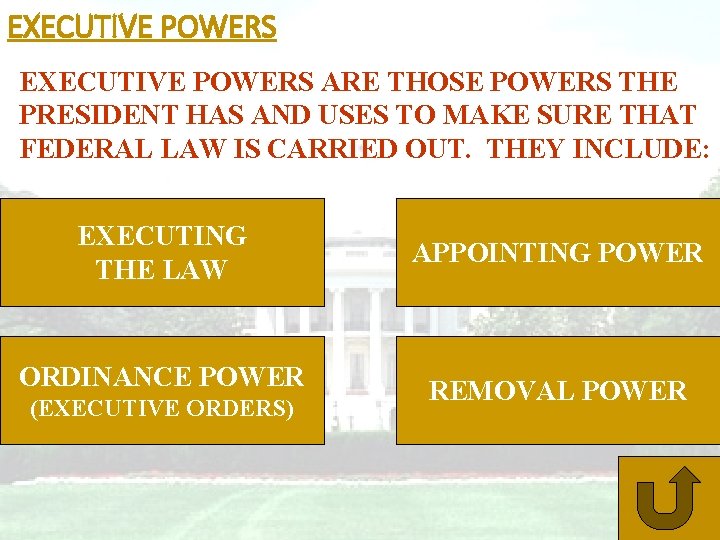 EXECUTIVE POWERS ARE THOSE POWERS THE PRESIDENT HAS AND USES TO MAKE SURE THAT