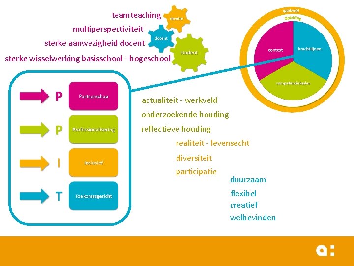 teamteaching multiperspectiviteit sterke aanwezigheid docent sterke wisselwerking basisschool - hogeschool actualiteit - werkveld onderzoekende