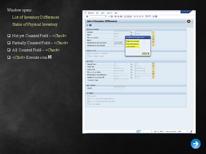 Window opens: List of Inventory Differences Status of Physical Inventory q Not yet Counted