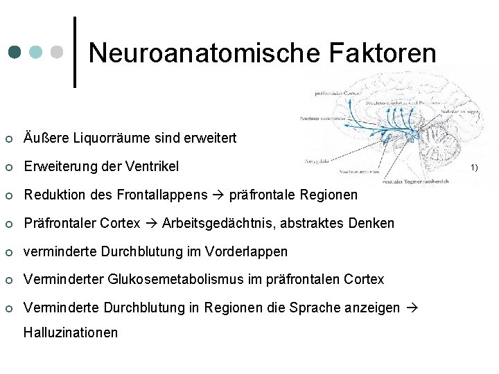 Neuroanatomische Faktoren ¢ Äußere Liquorräume sind erweitert ¢ Erweiterung der Ventrikel ¢ Reduktion des