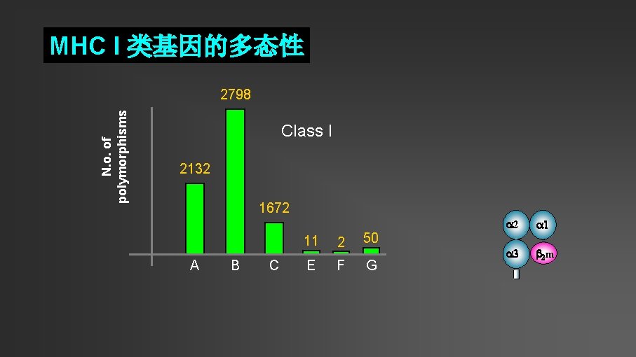 MHC I 类基因的多态性 N. o. of polymorphisms 2798 Class I 2132 1672 A B