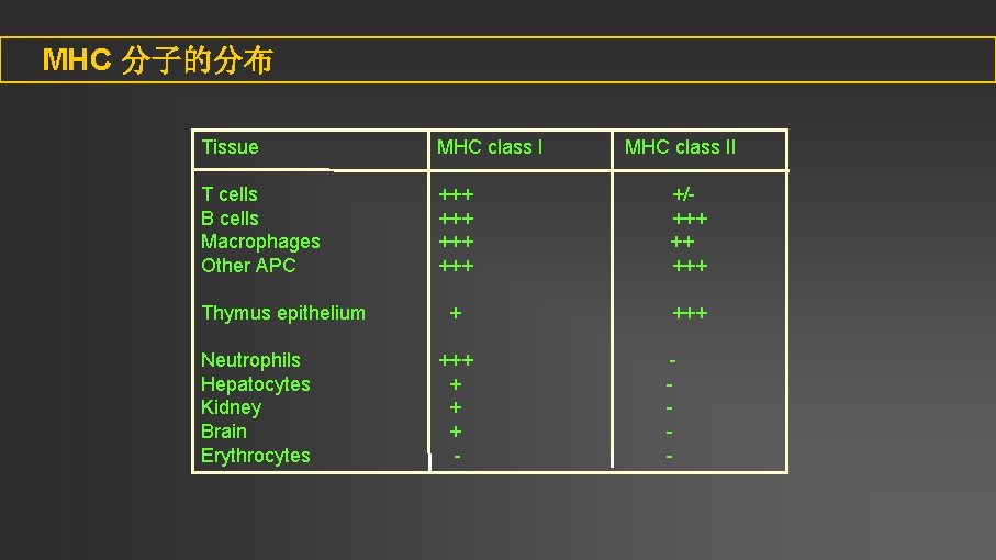 MHC 分子的分布 Tissue MHC class I T cells B cells Macrophages Other APC +++