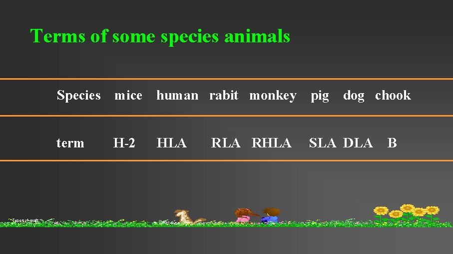 Terms of some species animals Types of graft Species mice human rabit monkey pig