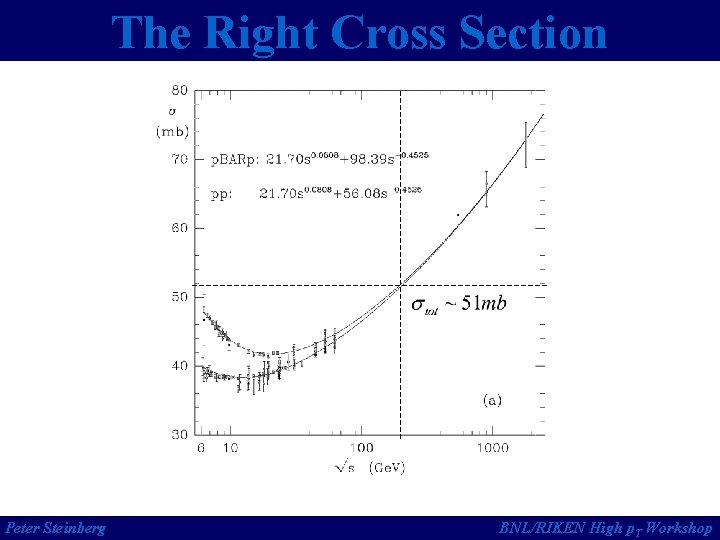 The Right Cross Section Peter Steinberg BNL/RIKEN High p. T Workshop 