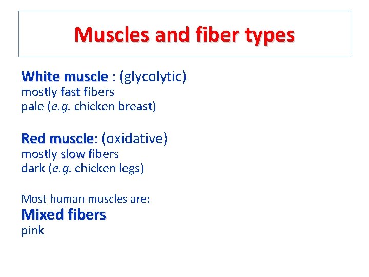 Muscles and fiber types White muscle : (glycolytic) mostly fast fibers pale (e. g.