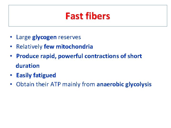 Fast fibers • Large glycogen reserves • Relatively few mitochondria • Produce rapid, powerful