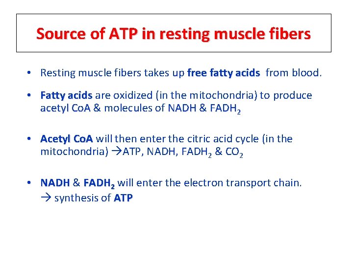 Source of ATP in resting muscle fibers • Resting muscle fibers takes up free