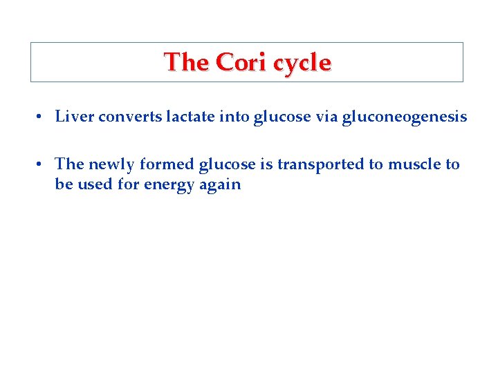 The Cori cycle • Liver converts lactate into glucose via gluconeogenesis • The newly