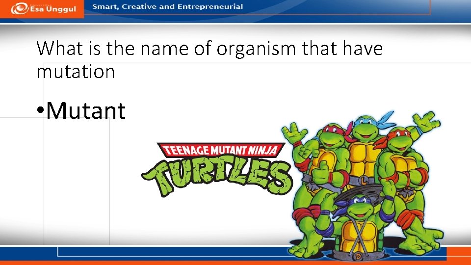What is the name of organism that have mutation • Mutant 