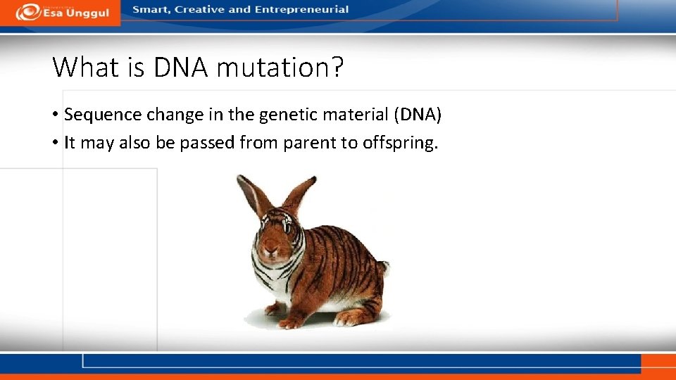 What is DNA mutation? • Sequence change in the genetic material (DNA) • It