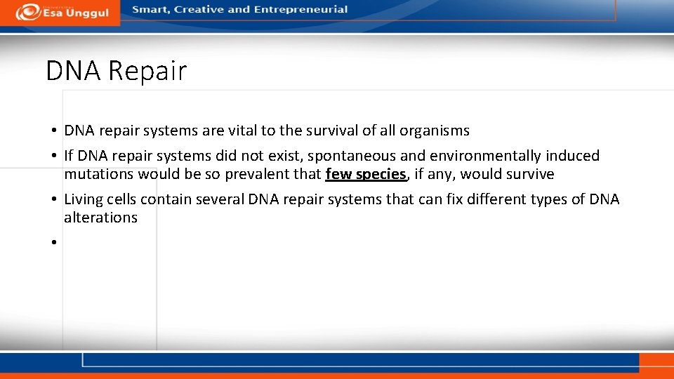 DNA Repair • DNA repair systems are vital to the survival of all organisms