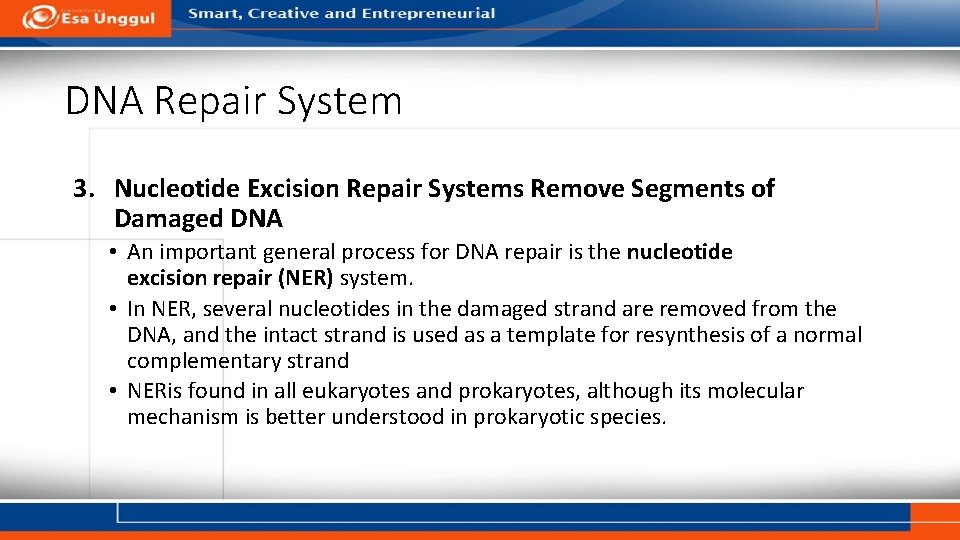 DNA Repair System 3. Nucleotide Excision Repair Systems Remove Segments of Damaged DNA •