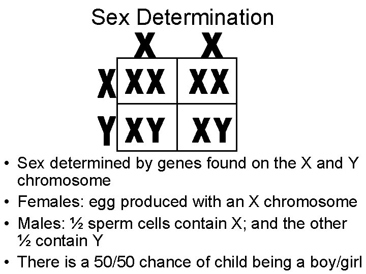 Sex Determination • Sex determined by genes found on the X and Y chromosome