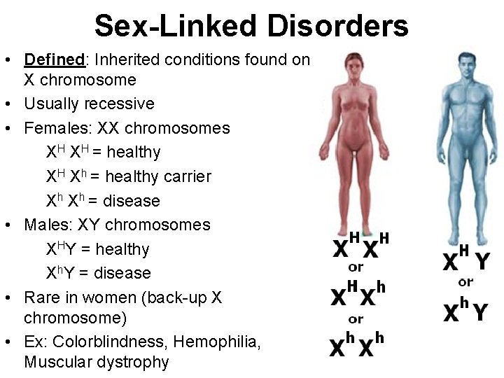 Sex-Linked Disorders • Defined: Inherited conditions found on X chromosome • Usually recessive •