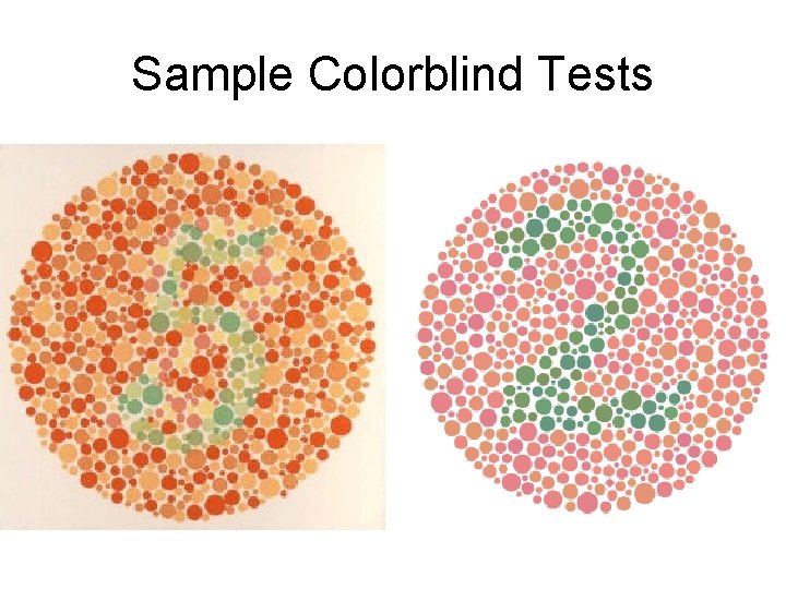 Sample Colorblind Tests 