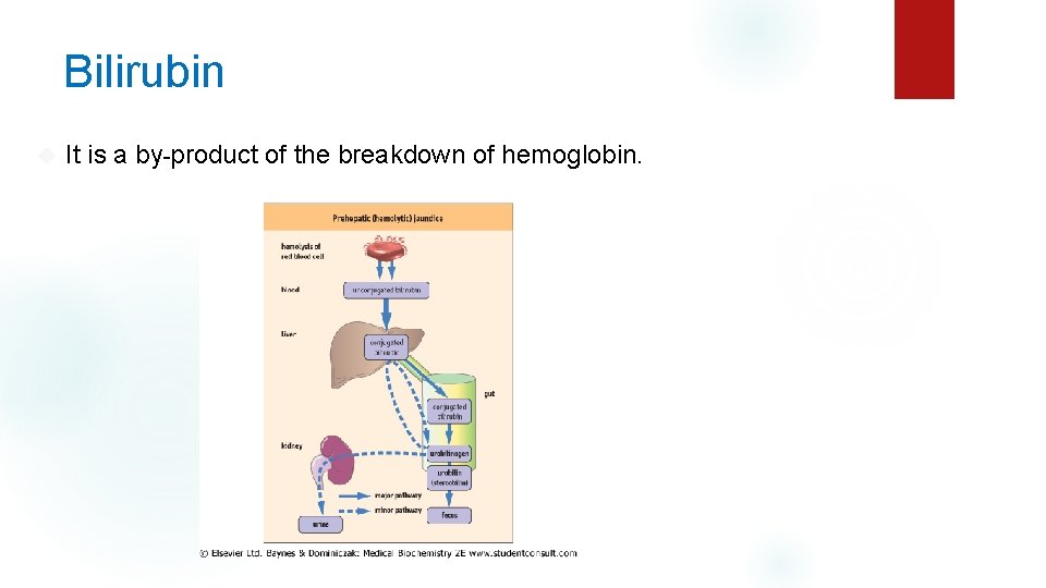 Bilirubin It is a by-product of the breakdown of hemoglobin. 