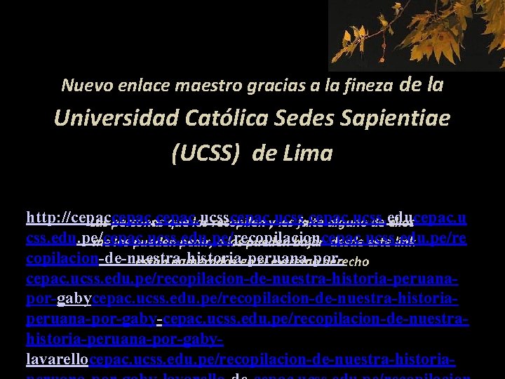 Nuevo enlace maestro gracias a la fineza de la Universidad Católica Sedes Sapientiae (UCSS)
