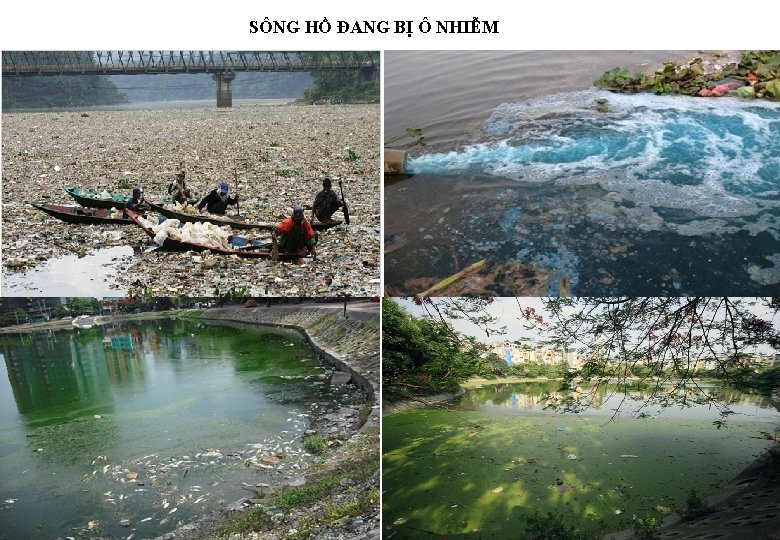 SÔNG HỒ ĐANG BỊ Ô NHIỄM 